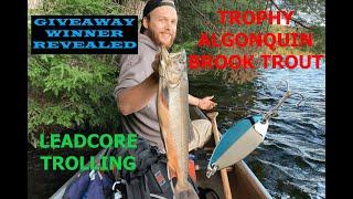 HUGE TROPHY BROOK TROUT - Algonquin Park Fishing - GIVEAWAY WINNER Announced