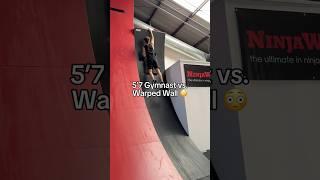 14.5 ft warped wall  #gymnast #gymnastics #olympics #sports #ninja #ninjawarrior #calisthenics #d1