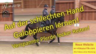 F158 Angaloppieren auf der steifen / schlechten Seite. Verspannte Pferde locker reiten. Galopp