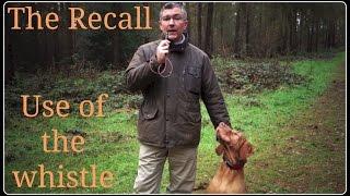 Dog Recall and the Effective Use of the Whistle