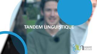 Tandem linguistique - Université de Pau et des Pays de l'Adour