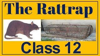 The Rattrap, Class-12 (Explained In Hindi)