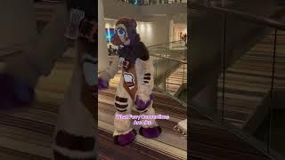 Best experience ever #furry #fursuit #cosplay #costume