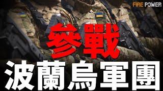 波蘭軍團參戰！烏克蘭傳奇女兵—鳳凰，打爆俄坦克！俄俄羅斯啟動英雄時代計畫，為普京刷聲望，增加國內對戰爭支持！黎以最新動態！加蘭特被解職！北約實力大提升！