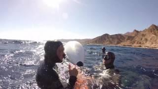 Stephen Keenan (Ireland) dives at -100m. Variable weight, Dahab January 2017