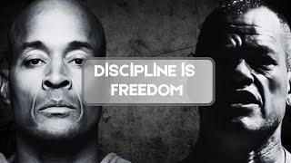 Discipline Is KEY to Success : Jocko Willink's and David Goggins Motivation