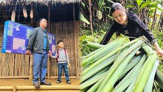 I went into the forest to get giant mon trees for the pigs. Dad prepared a mattress for his daughter