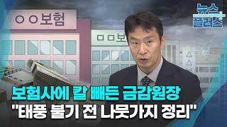 보험사에 칼 빼든 금감원장…"태풍 불기 전 나뭇가지 정리"/한국경제TV뉴스