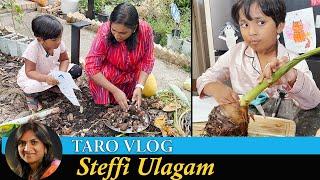 Harvesting Taro to make Payasam | Seppankizhangu Payasam Vlog in Tamil