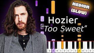 Learn To Play Too Sweet Hozier on Piano! (Medium) SLOW 50% Speed