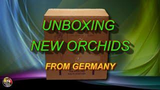 A NEW YEAR, A NEW BOX - FIRST ORCHID UNBOXING IN 2021 - 06/01/2021