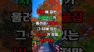 치매에 걸린 시어머니가 물려 준 시골집 그 뒤에 있는 시누이가 정말 무섭네요#시누이 #치매 #치매예방