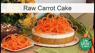 Raw Carrot Cake | Vegan, gluten-free, soy-free, sweetened with only dates