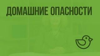 Домашние опасности. Видеоурок по окружающему миру 2  класс