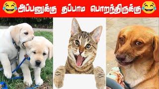 இன்னும் வளரனும் போல இருக்கே... #viral #trending #comedy #funnyanimalvideos