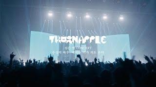 쏜애플(THORNAPPLE) - 수성의 하루 / 매미는 비가 와도 운다 '검은 별' Live ver.