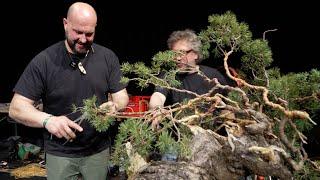 Mauro Stemberger Bonsai Demonstration (Trophy 2025)