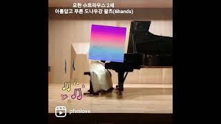 (6hands)요한 슈트라우스 2세 / 아름답고 푸른 도나우강 왈츠 / Strauss / The Blue Danube