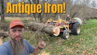 Hauling Logs With A 50 Year Old Tractor & Saw-Milling Poplar