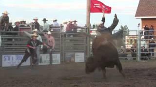 Dan Hansen vs. BC 24 California Raisin Oyen, AB CPRA '12