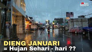 DIENG BULAN JANUARI, HUJAN SEHARI - HARI ??