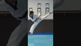 Taekwondo Jump Spin Hook Kick | Tae 11 - TaekwonWoo Archives