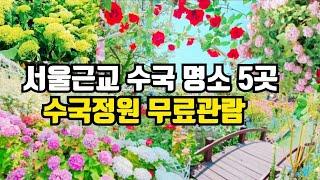  지하철 타고 6월 수국정원 가볼만한 5곳  길안내 자세한 설명      Hydrangea Garden near Seoul