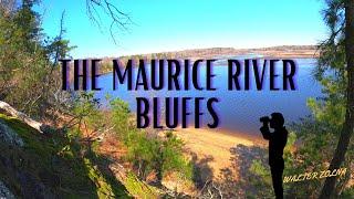 Maurice River Bluffs - Overlooks in Southern Jersey?