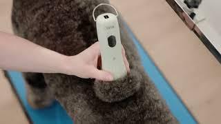 WAHL - KMC+ Animal Clipper