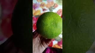 misty'svlog#shortsvideo#weight loss#stay fit# whole day daibetic diet plan#dailylifestyle #nutrition