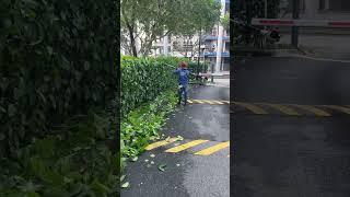 #shortvideo #grassing #treecare #grasscuting #trimmer #trim #automobile #bangladesh #grasscutting