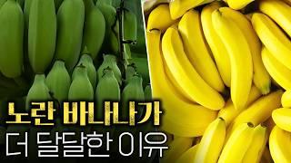 [통합과학] 생명 시스템의 모든 것 - 세포, 조직, 기관, 조직계와 기관계, 세포 소기관