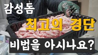 감성돔을 불러 모은다는 최고의 경단을 만들어서 낚시 가보자!!(최고)