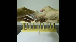#Alevel #Olevel #Chemistry #QA #Lab - Litmus Paper Red to Blue #Laboratory