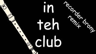 in teh club (Recorder Brony Remix)