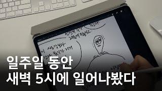 현실적인 미라클 모닝 체험기