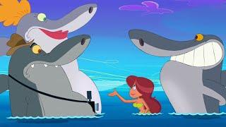 Zig & Sharko  SHARKO'S PARENTS HATE MARINA  Full Episodes HD