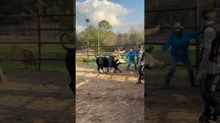 Laurel Ms on a grandson of Mossy Oak’s Mudslinger