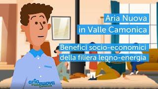 Aria Nuova in Valle Camonica - Benefici socio-economici della filiera legno-energia