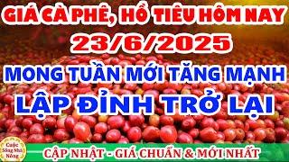 Giá cà phê hôm nay ngày 23/6/2025 | giá cà phê mong tuần mới TĂNG MẠNH LẬP ĐỈNH