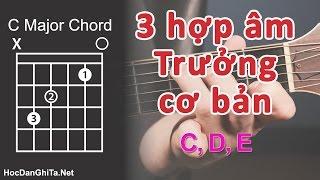 Bài 7: Cách bấm 3 hợp âm TRƯỞNG đơn giản nhất | Cơ bản cho người mới học guitar | Học guitar online