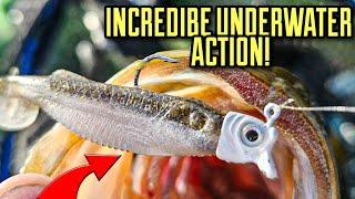 This Swimbait Secret Catches Cold Water Bass!