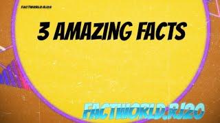 Amazing facts|3_intresting facts|facts|lionfacts|mouse facts