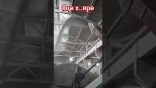 Зернопогрузчик, зернометач #2птс4 #agriculture #птс #агро #зернометатель #фермер