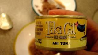 Tiki Cat Food Review - Ahi Tuna - ねこ - ラグドール -- Floppycats