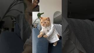 https://youtube.com/shorts/o0dSNZ5CqhE?si=0DEPzIKZ5qjZ9NYn