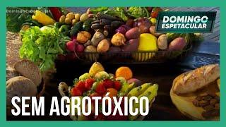 Conheça os mitos e verdades sobre os alimentos orgânicos