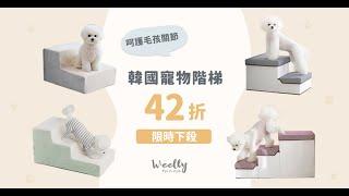 呵護毛孩關節【Woolly 韓系寵物樓梯】安全跑跳不受傷