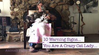 10 Warning Signs…You Are A Crazy Cat Lady!!