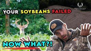 Your Soybeans FAILED! NOW WHAT?!